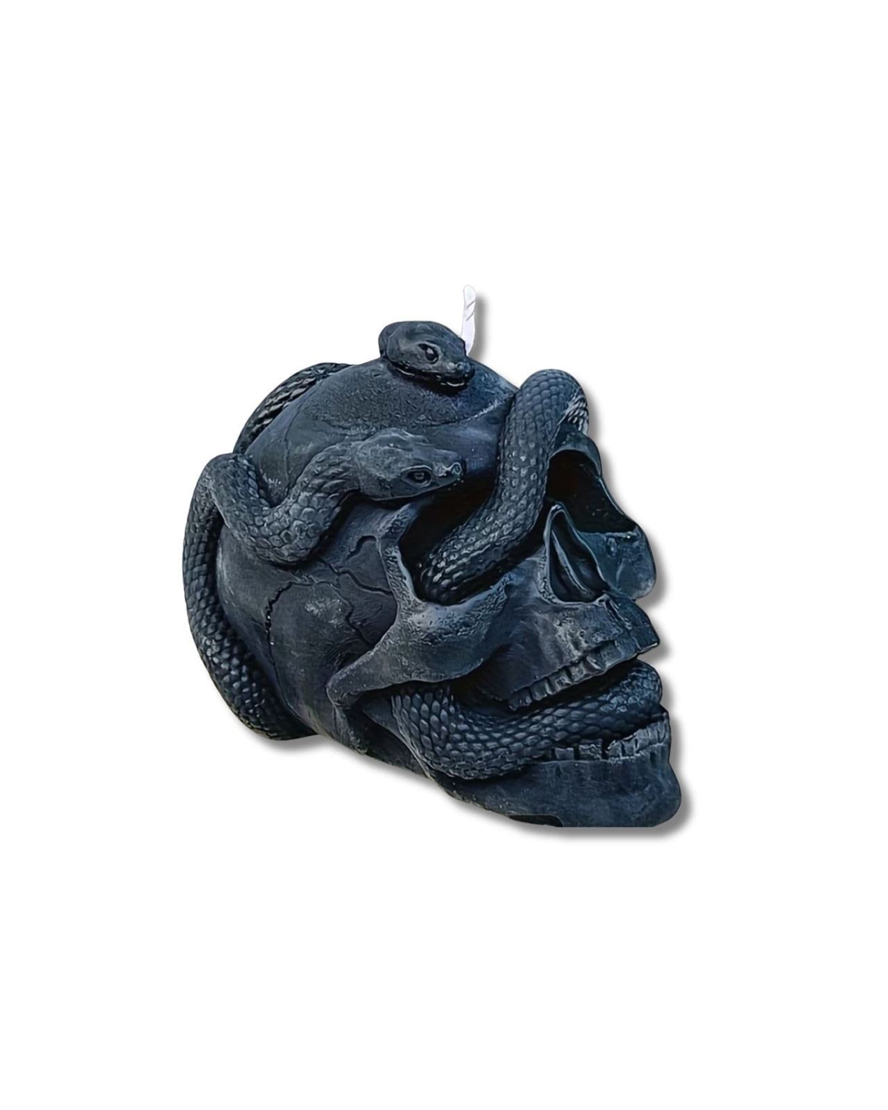 Calavera con serpientes - Imagen 1