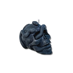 Calavera con serpientes - Imagen 1