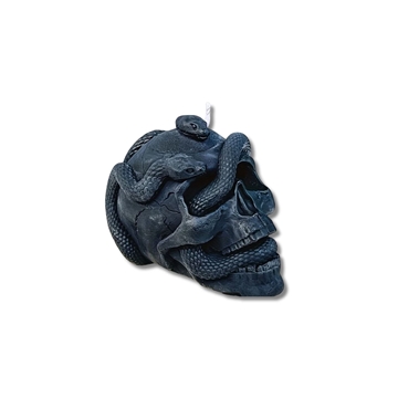 Calavera con serpientes - Imagen 1