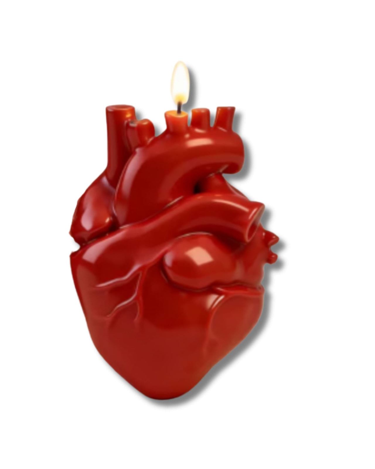 Corazón humano - Imagen 1