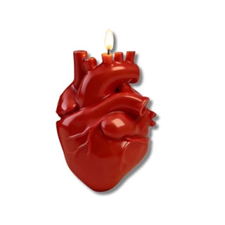 Corazón humano - Imagen 1