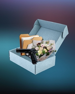 Distopía romántica