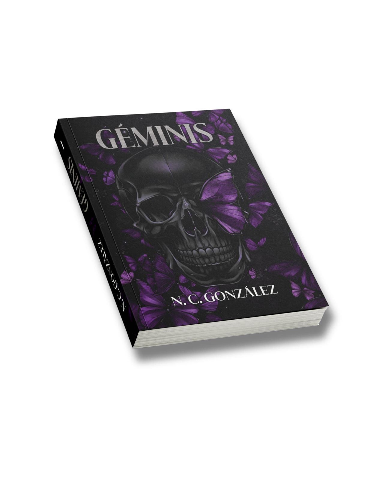 Géminis de NC González - Imagen 1