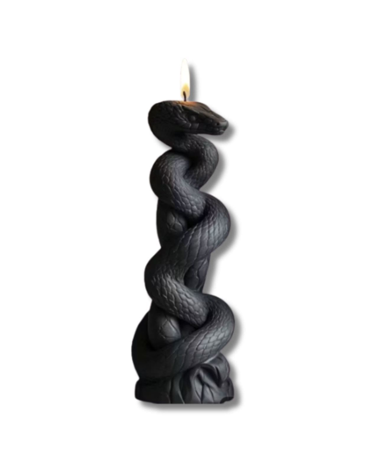 Serpiente negra - Imagen 1