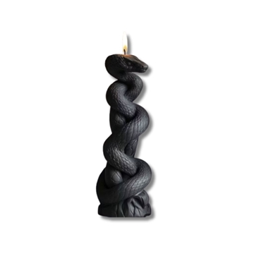 Serpiente negra - Imagen 1